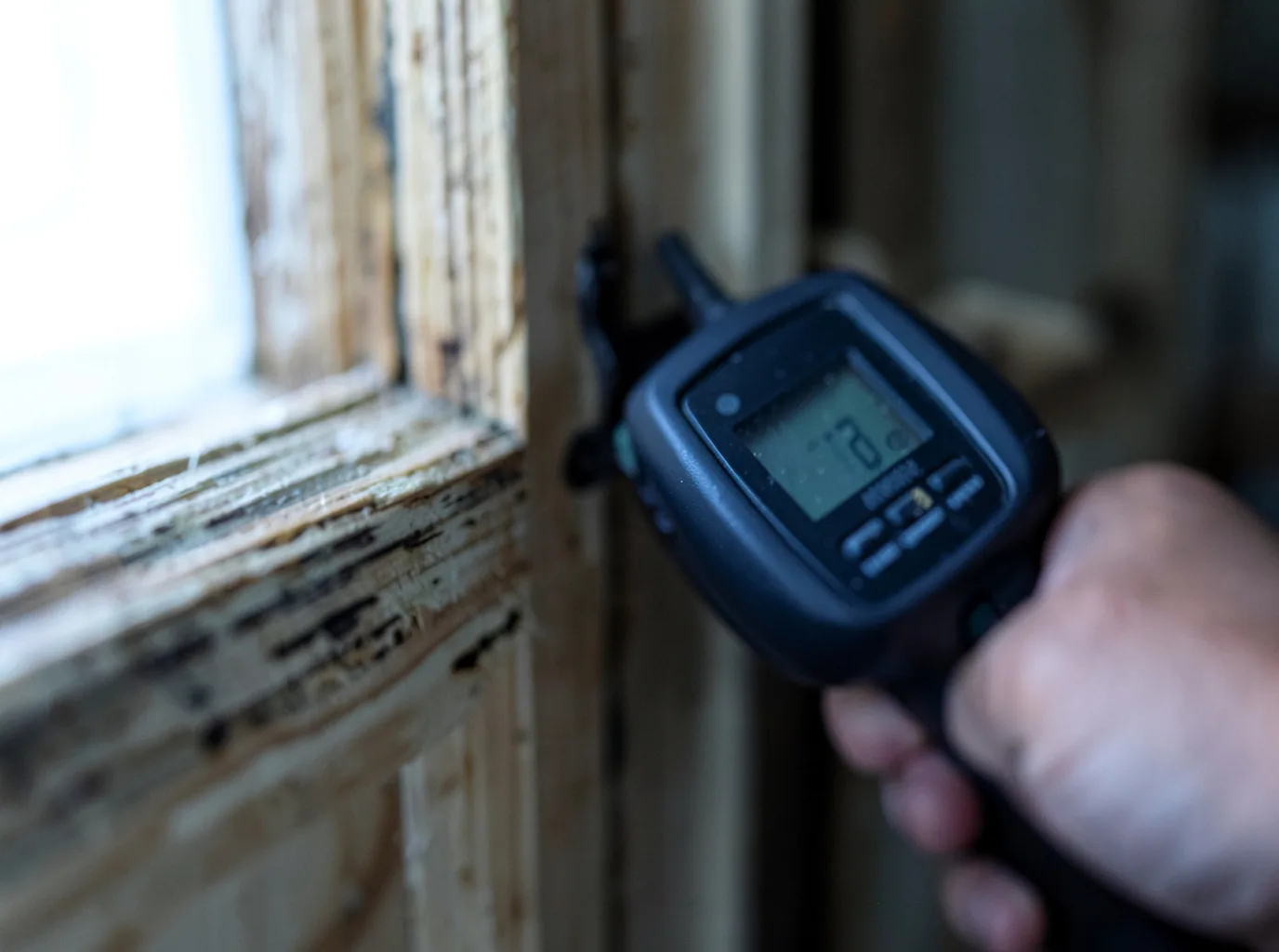 Moisture Inspection And Documentation in Highland Lake, NY